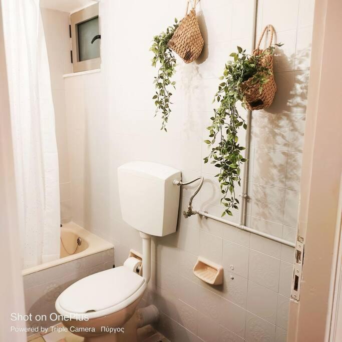 New Modern Flat Pyrgos Centre Olympia公寓 外观 照片