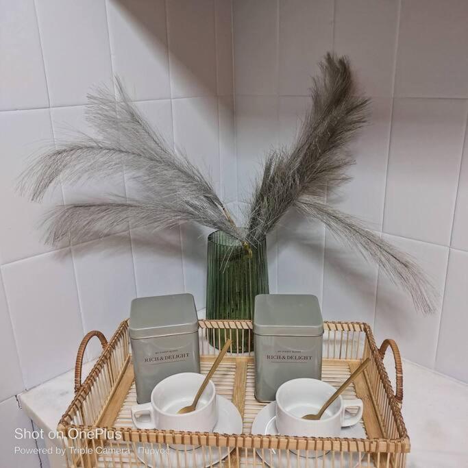 New Modern Flat Pyrgos Centre Olympia公寓 外观 照片